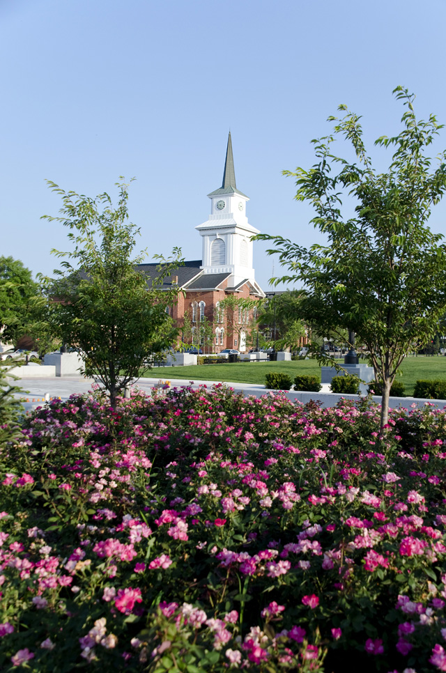 Flowers with church in background